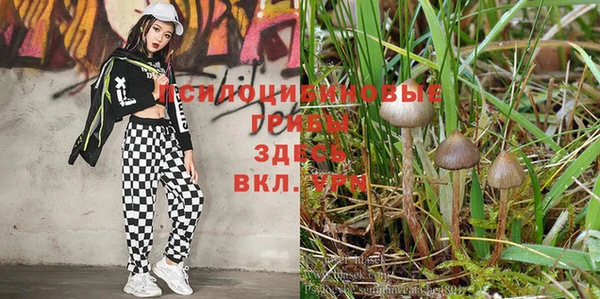 марки nbome Нягань
