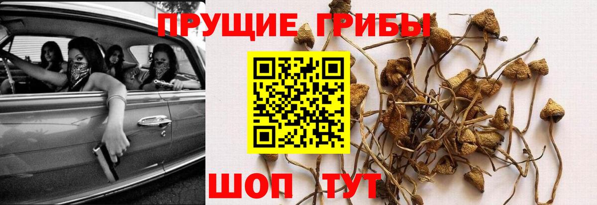 Галлюциногенные грибы мицелий Новодвинск