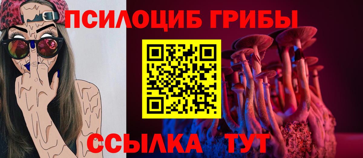 Галлюциногенные грибы Psilocybe  Вход с VPN  Новодвинск 